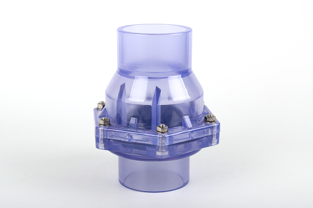 揭西透明翻板式止回阀